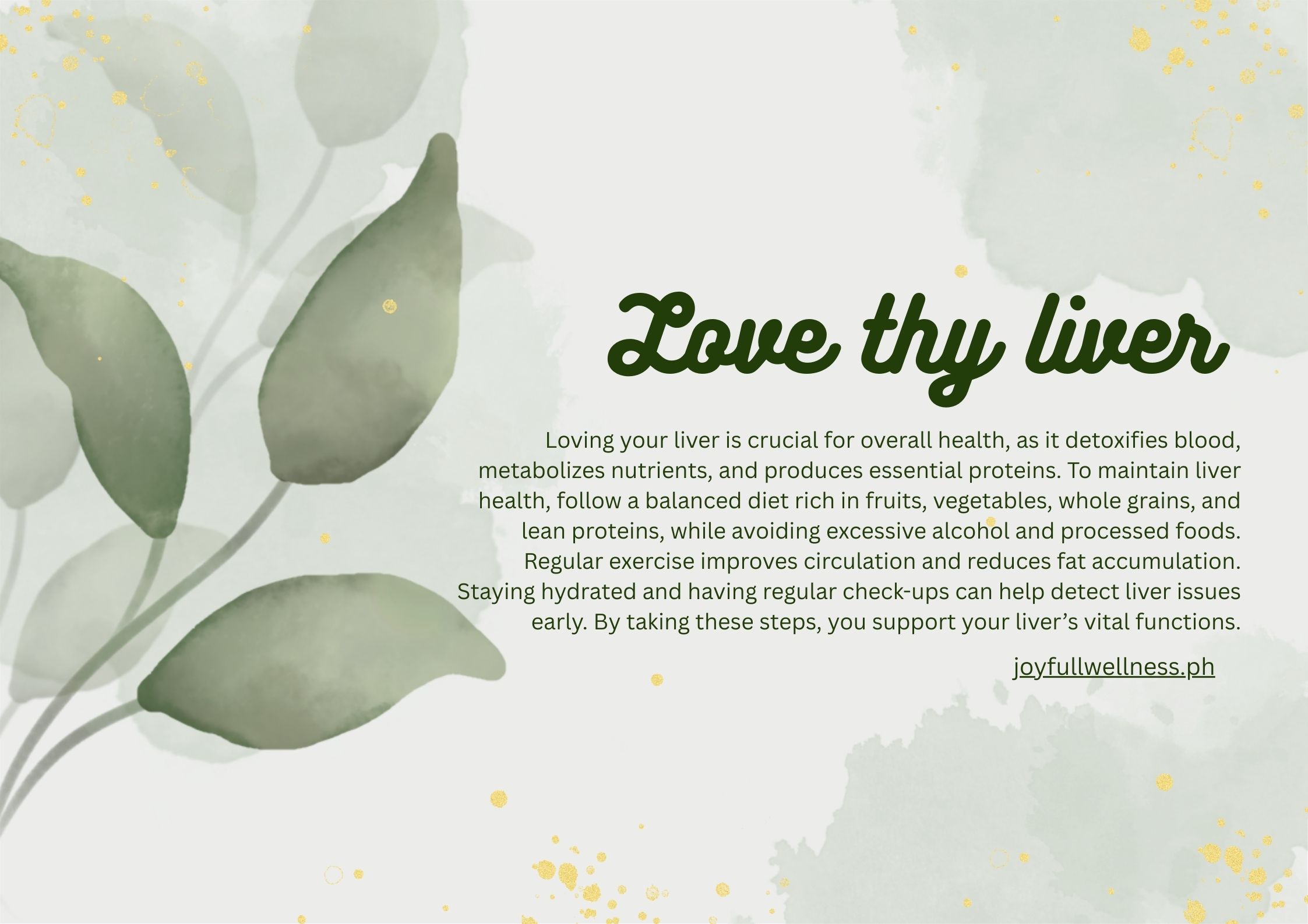 Hepatitis and liver cancer prevention