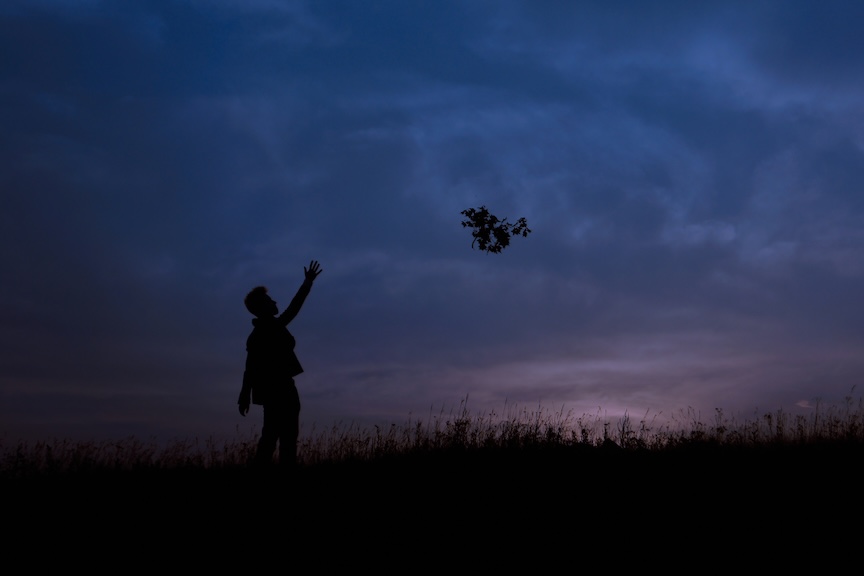 The Butterfly Effect and Letting Go