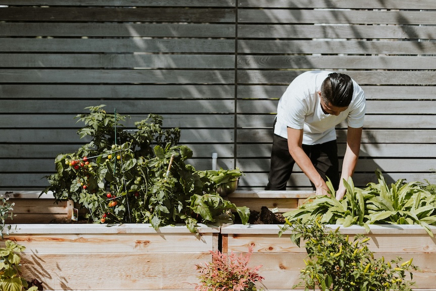 Backyard wellness